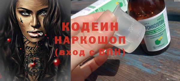 шишки Нея