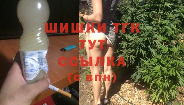 гашик Алзамай