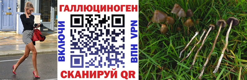 ОМГ ОМГ ТОР  это состав  Собинка  Галлюциногенные грибы мухоморы  купить  сайты 